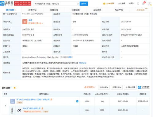 科大訊飛落子大理，智能科技公司聚焦信息系統(tǒng)集成服務(wù)