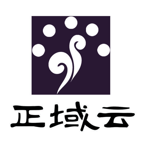 新疆正域云科技 深耕信息系統集成，賦能數字化未來